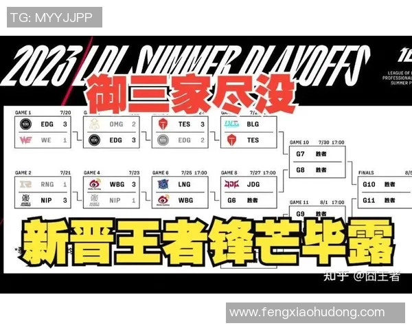 英雄联盟热点分析:深入解读LNG战队在赛季中的角色转换与表现变化